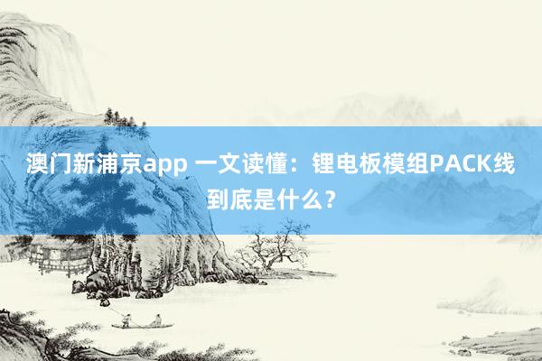 澳门新浦京app 一文读懂：锂电板模组PACK线到底是什么？
