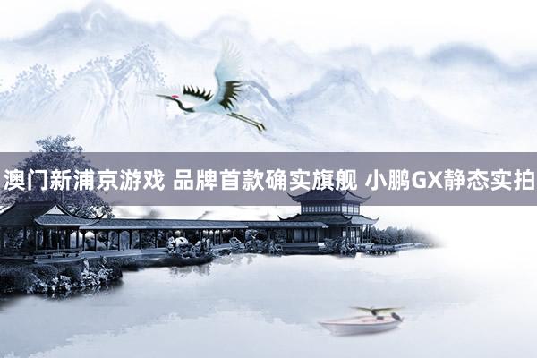 澳门新浦京游戏 品牌首款确实旗舰 小鹏GX静态实拍