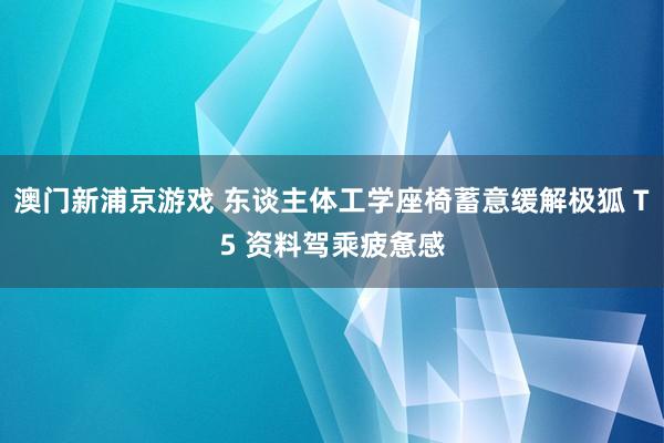 澳门新浦京游戏 东谈主体工学座椅蓄意缓解极狐 T5 资料驾乘疲惫感
