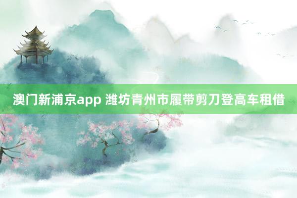澳门新浦京app 潍坊青州市履带剪刀登高车租借
