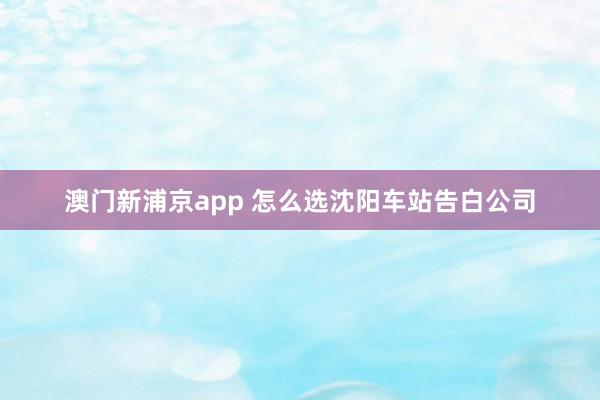 澳门新浦京app 怎么选沈阳车站告白公司