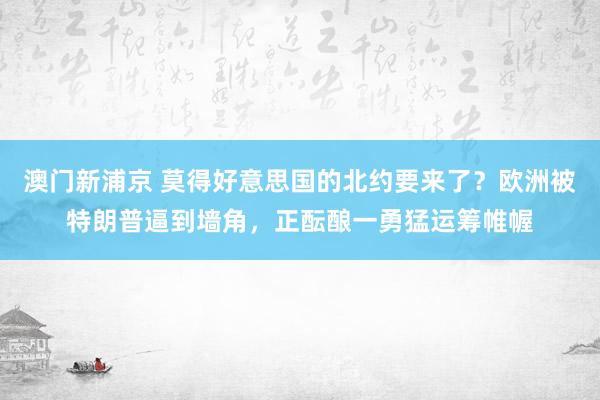 澳门新浦京 莫得好意思国的北约要来了？欧洲被特朗普逼到墙角，正酝酿一勇猛运筹帷幄