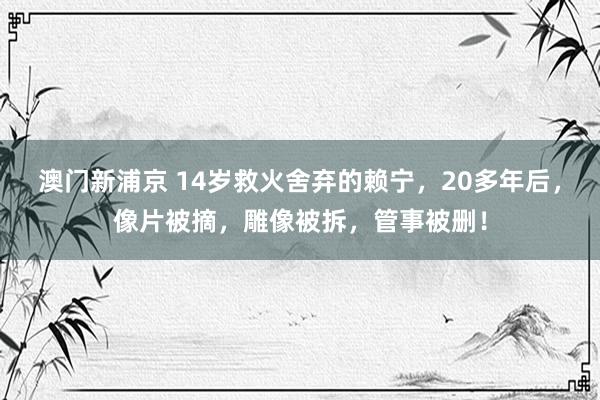 澳门新浦京 14岁救火舍弃的赖宁，20多年后，像片被摘，雕像被拆，管事被删！