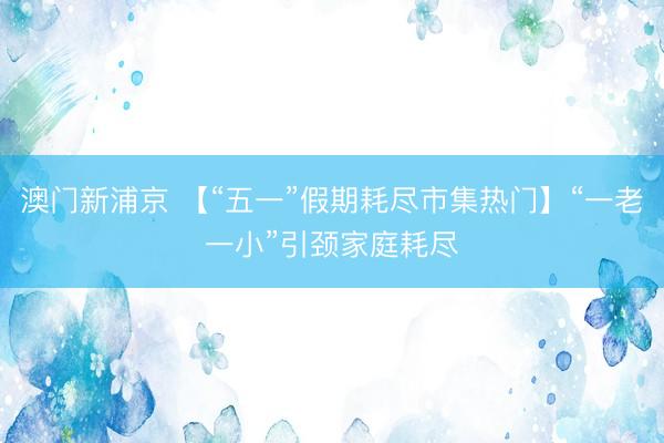 澳门新浦京 【“五一”假期耗尽市集热门】“一老一小”引颈家庭耗尽