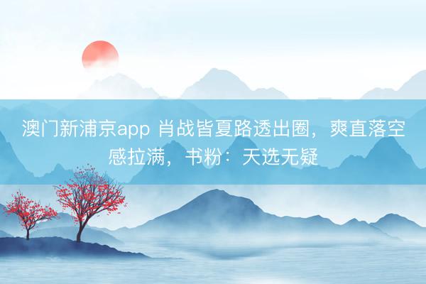 澳门新浦京app 肖战皆夏路透出圈，爽直落空感拉满，书粉：天选无疑